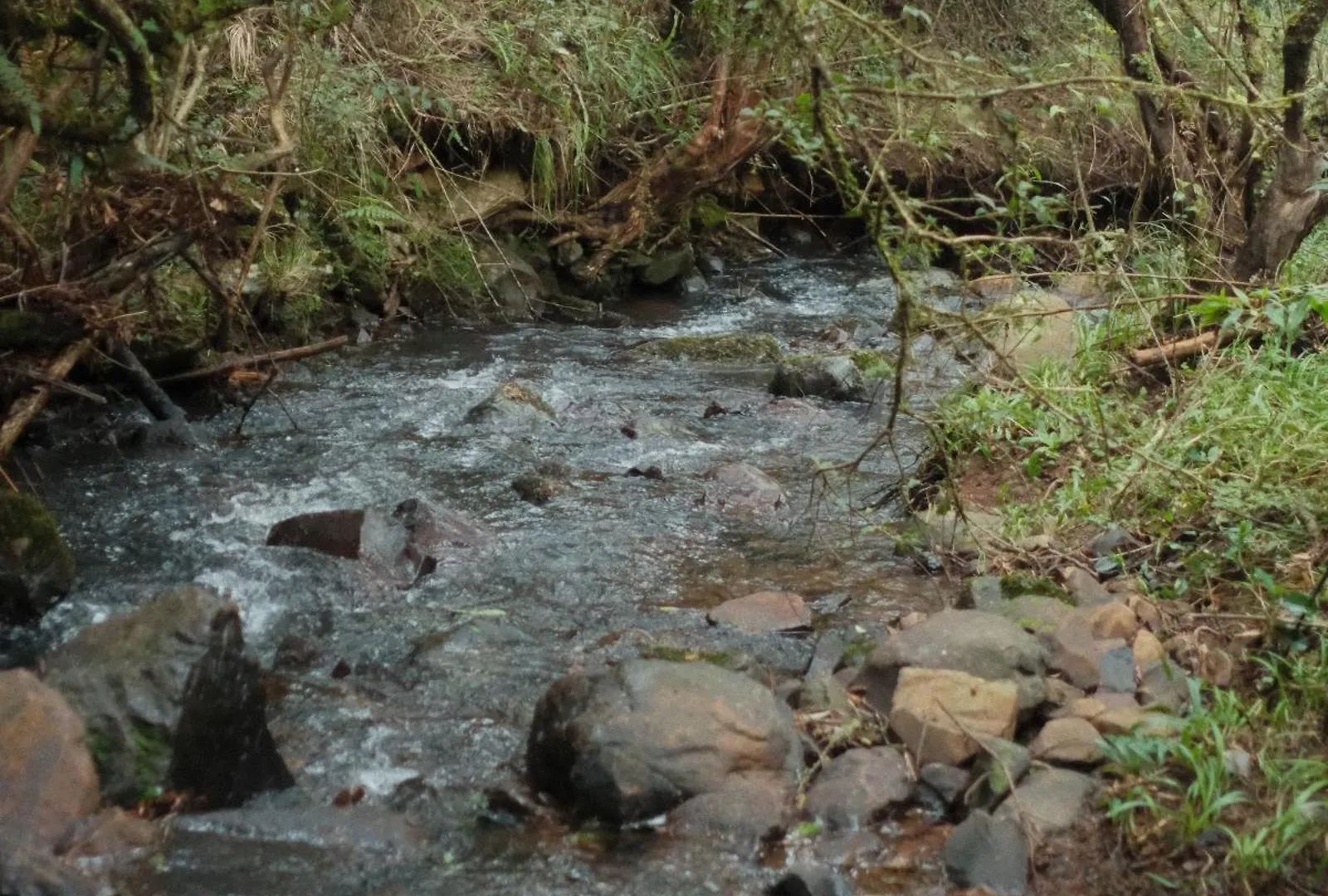 Parque Nacional Ecoresort Urubici 0*,