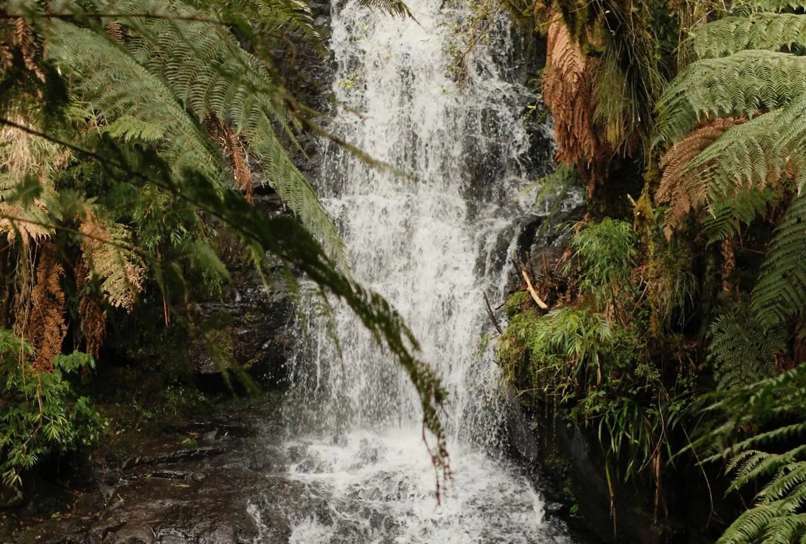 Parque Nacional Ecoresort Urubici