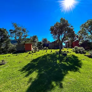 Refúgio Araucárias Chalé